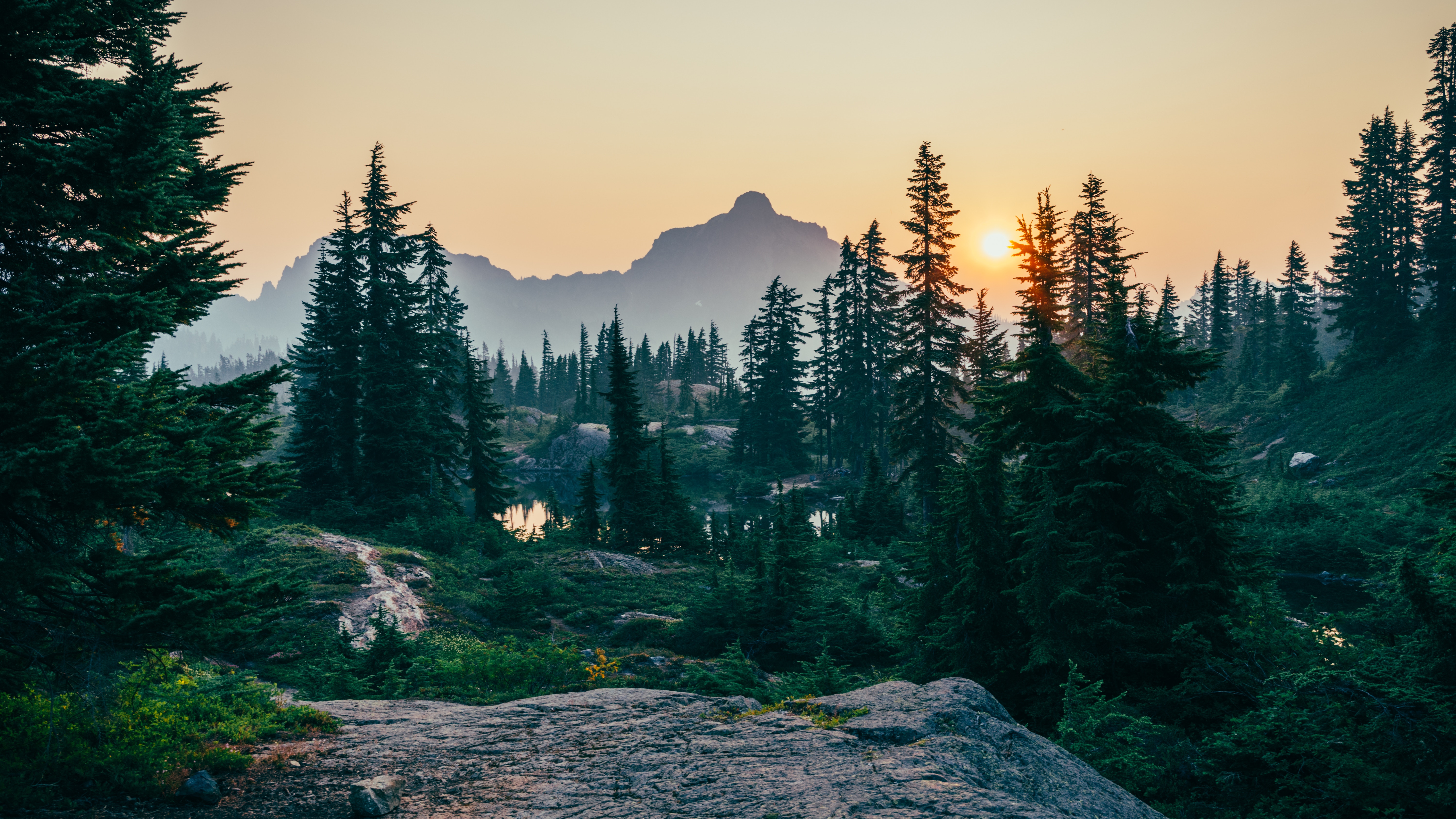 Natur