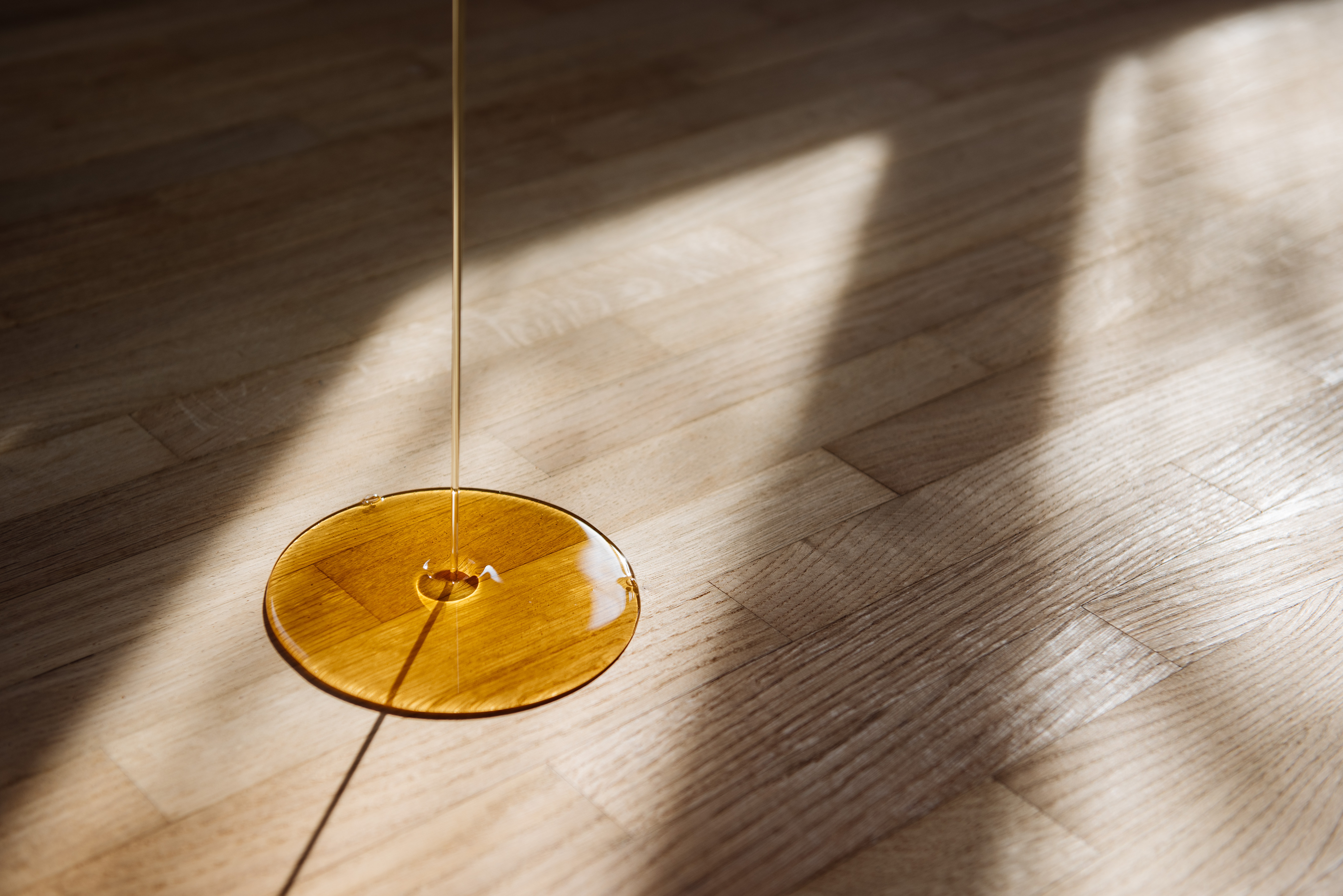 Parkett Sonnenlicht
